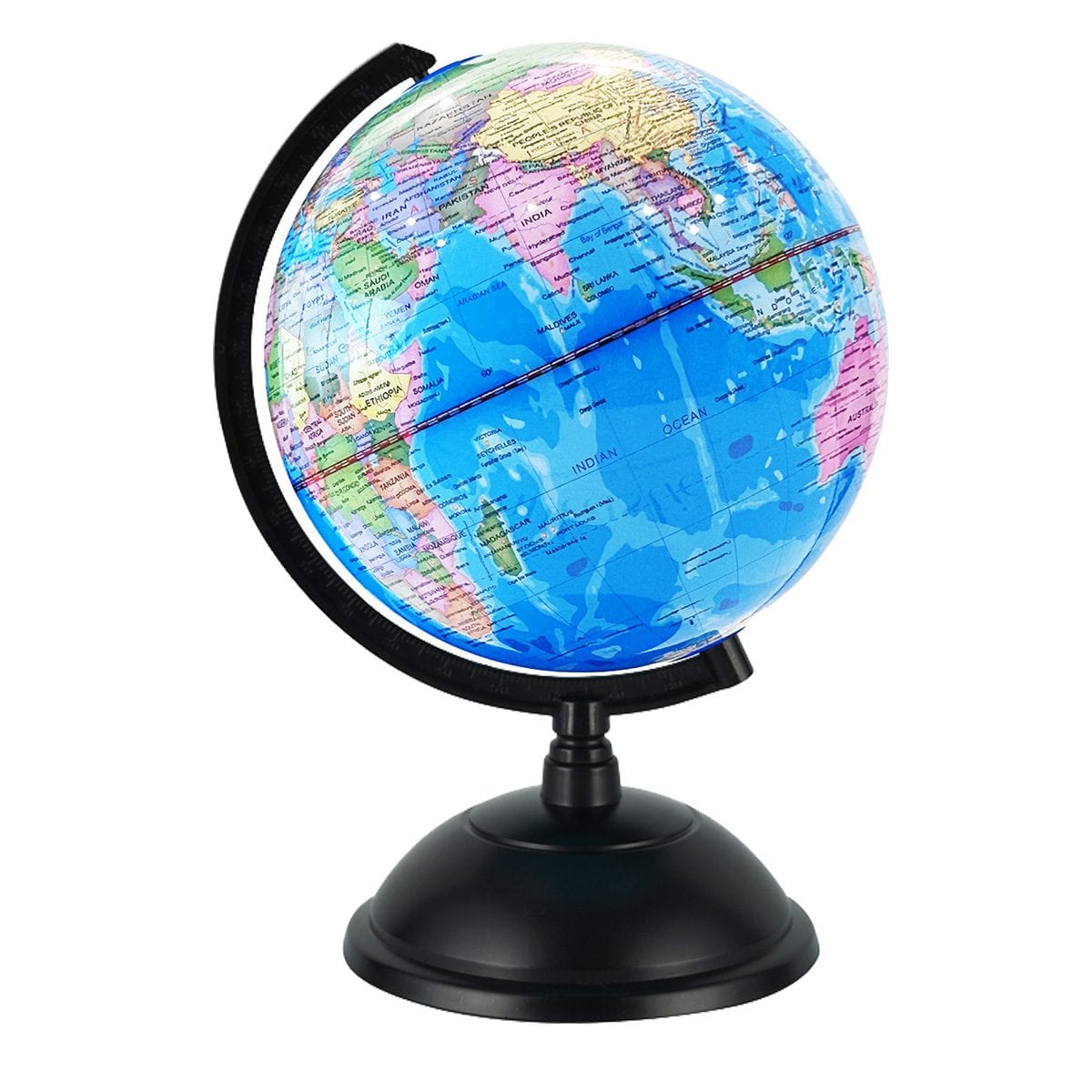 Educational 20cm (8")